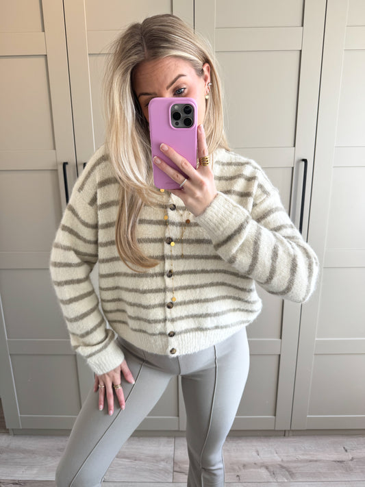 Vest | Noa | Beige Midden groen