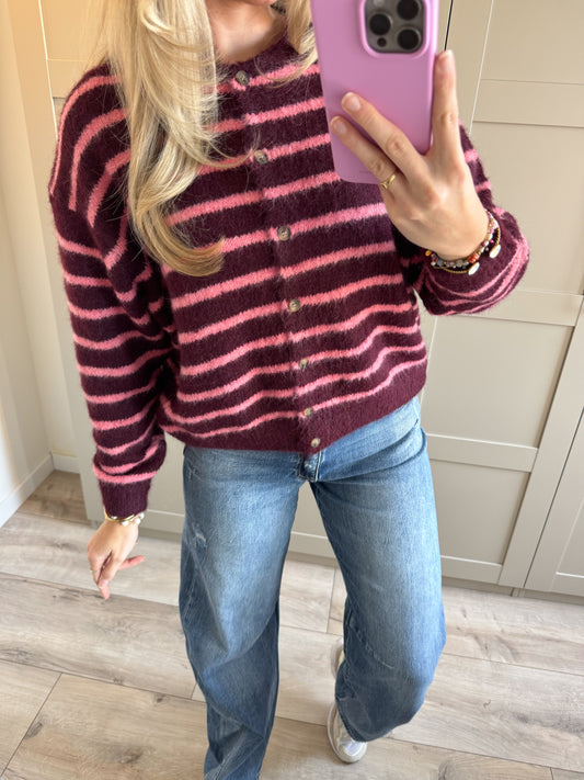 Vest | Noa | Bordeaux roze streep