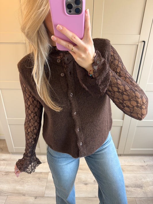 Spencer | Bowi | Bruin