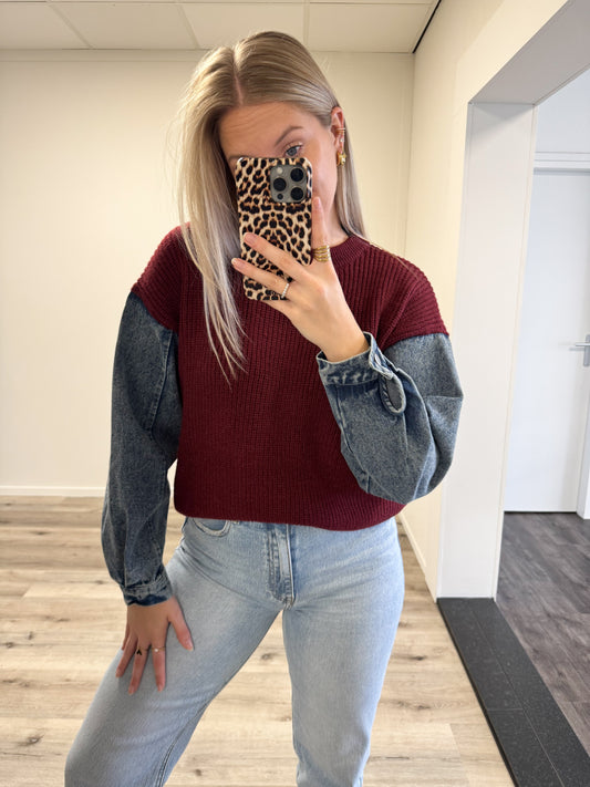 Trui | Milou | Burgundy denim